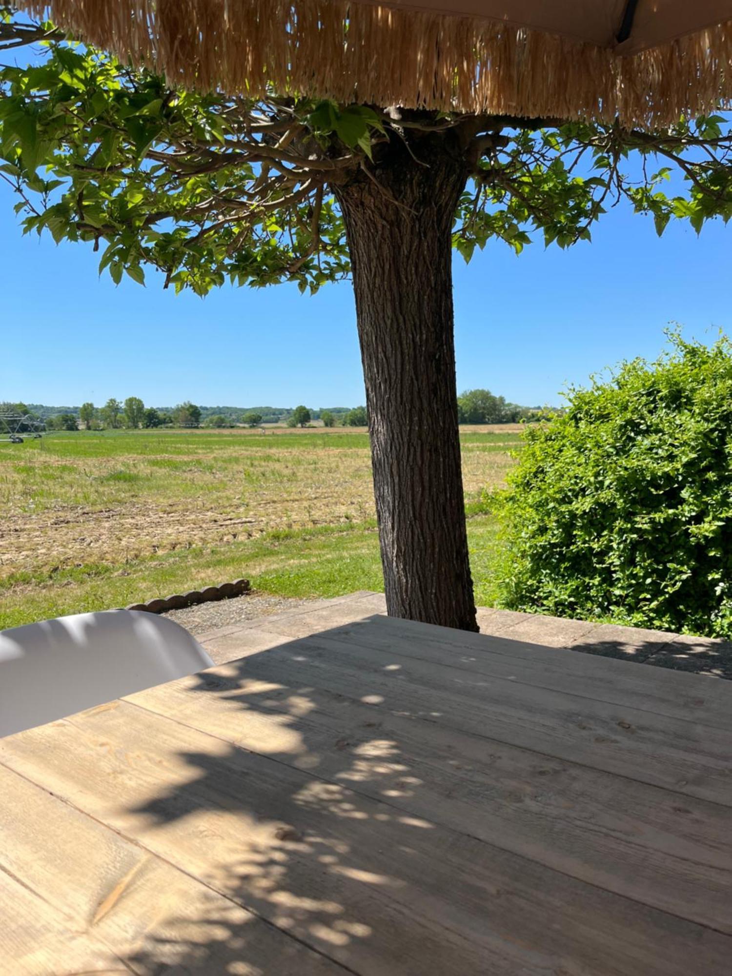 Gite 1, Domaine Logis Gascogne Saint-Justin  エクステリア 写真